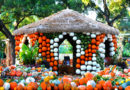 Pumpkins, Squash and Gourds, Oh My! Autumn at the Arboretum Fall Festival Returns with The Wonderful Wizard of Oz theme