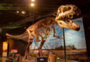 Inaugural Dino Fest Takes Over The Perot Museum Of Nature And Science Sept. 1-2, Plus New Paleo Lab Officially Debuts Labor Day Weekend