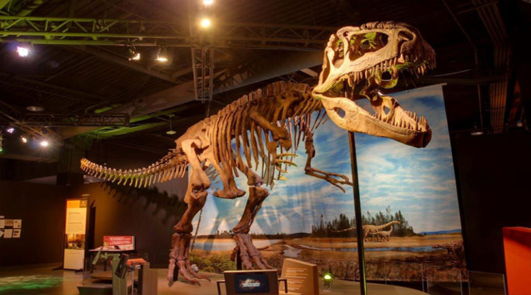 Inaugural Dino Fest Takes Over The Perot Museum Of Nature And Science ...