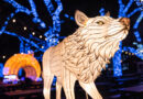 <strong>Dallas Zoo Lights Returns as a Walk-thru Event for the First Time Since 2019</strong>